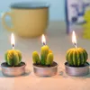 12 pz/set decorazioni per la casa cactus candela da tavolo tea light giardino mini candele di cera verde per la decorazione di compleanno di nozze Y200531