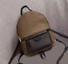 Hot Sale damestas mode handtas leer beroemde merk designer messenger handtassen van hoge kwaliteit Mini-rugzak