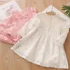 Spring Autumn 3 4 6 8 10 to 12 Years Child England Style Princess Pearl Lace Knee Length Kids Baby Girl Long Sleeve Dress 2012045397567
