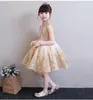 Elegant Golden Tulle Flower Girl Dress Party Kids Pageant Gown Princess Wedding Dress Sleeveless First Communion Dresses