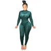 Sexy Mesh Flocked Leopard Print Jumpsuits Long Sleeved See-Through Jumpsuit Tops Fashionable Women Outfit 2 Piece Set