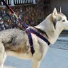 Puppy Dog Holders i ołowiany kowbojowy trakcja linowa mocna linowa smycz smycz pies koolek pens