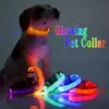 Gola de estimação brilhante recarregável luminosa pet cinto s m l xl Alway no rápido flash lento acessório flash para gato de cachorro