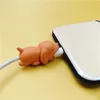 Sevimli Hayvan Isırık USB Kablosu Şarj Veri Koruma Kapak Mini Tel Koruyucu Kablo Kordon Telefon Aksesuarları Yaratıcı Hediyeler 36 Tasarımlar