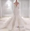 2022 Sexy Mermaid Wedding Dresses Backless V-neck Bridal Gowns Off The Shoulder CG001