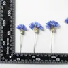 Dekoracyjne kwiaty wieńce 120pcs500pcs Cyanus segetum kwiat tłoczona żywica suszona DIY Cover Craft Art Biżuteria Canlde SOAP2307768