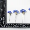 Dekorative Blumenkränze, 120 Stück/500 Stück, Cyanus Segetum-Blume, gepresstes Harz, getrocknet, DIY-Handyhülle, Basteln, Kunst, Schmuck, Kerze, Seife, Sammelalbum