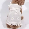 Princess Dog Cat Dress Cotton Pet for S Clothing Bow Tie es S kjol spetsa chihuahua York LJ200923