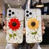 Verklig solros Torkad pressad folie Soft TPU -fodral för iPhone 15 14 Plus 13 Pro Max 12 11 XR XS X 8 7 6 Fashion Flower Confetti -paljett Klar transparent bakslagskinn