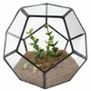 Vetro nero Pentagono geometrico terrario contenitore davanzale della finestra decorazione vaso di fiori balcone fioriera fai da te scatola di visualizzazione Y2007233477423