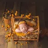 Newborn Vintage Woven Rattan Basket Studio Baby Props for Photography Shoot Posing Sofa Accessoire Photo Bebe LJ201105