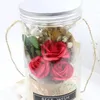 NEWDHL Elegant Flower Soap Rose Valentine's Day Birthday Gift Immortal RGB Light Multi-colored Dome Real Preserved Eternal Rose RRE1234