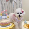 개 의류 in Korea Party Bip 애완 동물 생일 타액 수건 Bichon 삼각형 스카프 고양이 모자 세트 5491 Q2