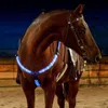 Ajustável led poliéster cavalo arnês placa de peito webbing noite visível equipamento equitação esporte corrida cheval equitação