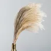 Dried Pampas Grass Christmas Decorations 20/30 Pcs Natural Plant Ornament Wedding Decor Flower Bunch Storage for 2 Years 201203