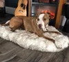 Tyteps Faux Fur整形外科犬のベッドカーブビッグミディアムパピーサポートのための白い犬の敷物201123267nのドロップ