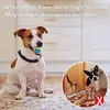 Paquet de 7 jouets pour chiens de compagnie, pour grands et petits chiens, brosse à dents en boule, jouets interactifs pour chiens, produits de noël pour chiens, accessoires de jouets à mâcher