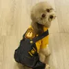 Jesienne i zimowe przystojne swetra jeansy Pet Pet Pet Four Noundged Teddy Dog Ubrania I08T236S2915775