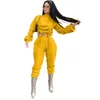 Bayan Spor Uzun Kollu Hoodie Kıyafetler 2 Parça Set Sportment Kazak + Legging Tops + Pantolon Bayan Giyim Jogger Spor Suit 5942