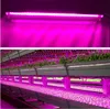 Nuove luci di coltivazione a LED Lampada a LED in crescita a spettro completo Illuminazione da 50 cm Lampadario a doppio tubo per piante da interno idroponiche D3.0