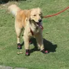 4 pc's hond waterdichte schoenen sokken winter slijtage resistent regenlaarzen non slip anti skid huisdier voor medium grote s pitbull LJ200923