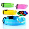 LED-laddningsbart hundhalsband för hundar Nattsäkerhet Blinkande husdjur Anti-förlorade/bilolyckshalsband Glödkoppel Hundar Lysande fluorescerande halsband YL0205