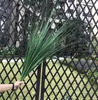 100 -cm plastikowa cebula trawa duże sztuczne rośliny fałszywe trzciny liście zielona trawa świąteczna faxail drzewa ślubne liście do wystroju domu 201130