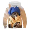 Cute Kitten Bluzy dla Teen Girls Cropped Bluza Dzieci Znosić Anime Hoody Kapturem Ubrania Baby Boys Sweter Shirts 220125