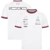 Yeni F1 T-Shirt Formül 1 Takım Yarış Polo Gömlek T-Shirt Yaz Erkekler Yarış Spor Yakası Hızlı Kuru Tişörtler Forma Aynı F1 Gömlek