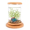 1PCS GLASS BETTA SISM TANK BAMBALE BASE BASEA BAMEIN MINI MINI SISM TANK DECORATIONACOREDSORIES ROTATE DECORATION FISH BOWL AQUARIUMアクセサリーY200228G