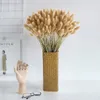 30 Stems Pampas Grass Dried Flower Bunny Tail Natural Plants Floral Rabbit Grass Bouquet Home Decoration Accessories Y1128