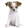 Hundhalsar Leases Rhinestone Små hundar Bling Crystal Love Heart Pet Collar Puppy Cats Halsband Harness Leash Accessories1