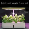 FB Inteligentny hodowla soilless hodowla garnek hydroponiczny sadzarki kryty warzywa sadzenie kwiatowe sprzęt przedszkola wypełnić światło Y200709