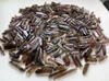 500 karat Bulk Lot Natural Smokey Quartz Crystal Points (40-30 st) Smoky Wands 201125