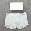 Homens Boxers Underpants Onda Clássica Shorts Underwear Respirável Esportes Confortável Paris Fashion Calças Curtas Tamanho Asiático