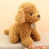 Giocattoli di peluche Teddy Dog Simpatici animali di peluche Cani Bambole Bambola morbida Bambini Bambini Natale Capodanno Regali di compleanno Whole7713003