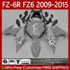 Carenature OEM per YAMAHA FZ 6R 6N 6 FZ6 R N 600 FZ-6R FZ600 FZ6R Grigio lucido 2009 2010 2011 2012 2013 2014 2015 Corpo 103No.123 FZ-6N 09 10 11 12 13 14 15 FZ6N 09 -15 Kit Carrozzeria