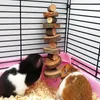 Małe dostawy zwierząt Bunny Chew Toy Pet Tooth Stick Wiszące naturalne jabłko drewniane dla królików