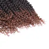 Lans 14 Inch Bomb crochet hair 75gpcs Braiding Hair Passion Spring s Hair Curly Ends 18 Strandspack LS26Q9427055