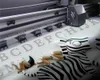 Özel 3D Hayvan Duvar Kağıdı Alfabe Karikatür Zebra 3D Duvar Kağıdı Kapalı TV Arka Plan Duvar Dekorasyon 3D Mural Duvar Kağıdı