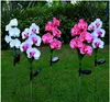 Lampes solaires LED papillon orchidée pelouse extérieure étanche jardin Villa clôture lumière décoration de noël lampe fluorescente