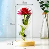 Cadeau de Saint-Valentin pour petite amie Rose éternelle LED Fleur en aluminium avec couvercle en verre Fête des mères Faveurs de mariage Cadeau de demoiselle d'honneur 310A