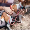 Haustier-Hundehalsband, Sushi-Zigarette, Nylon, bedruckt, verstellbare Halskette für kleine, mittelgroße und große Welpen, Pitbull, GeCollars 201030