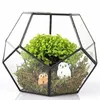 Heißer Verkauf schwarzes Glaspentagon Geometrische Terrarium Container Fenster Billel Dekor Blume Topf Balkon Pflanzer DIY Display Box Y200709