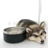 Dog Bowls 32OZ Stainless Steel Non-Slip Pet Dishes Bowls 8 Colors Tumblers Double Wall Vacuum Insulated Large Dog Bowl Mugs