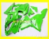 Zielony Zestaw do ciała Owalnia dla Kawasaki Ninja ZX10R 04 05 ZX-10R Bodywork ZX 10R 2004 2005 Motocykl Wishings Set + Gifts