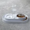 Type of Space Saving Cat Bowl with Anti Rollover and Non Wet Mouth Flower Shaped Pet Food Container Y200917