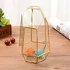 Jewelry Pouches Bags Indoor Tabletop Irregular Glass Geometric Air Plants Terrarium Box Desktop Display Planter Succulent Holder 2697