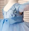 Sky Blue Haute Flower Girl Dresses Applique Princess Ball Gown Cap Sleeves First Communion Dresses PinK and Bule Tutu Skirt Birthday Wear