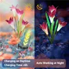 Outdoor LED Solar Lights Colorful Lily Garden Flower Dekoracyjny trawnik Lampa Domowy ogród IP65 Wodoodporny fałszywy światło nocne